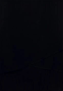 Anna Field Top -Black -Anna Field 145c47af3591495c9626ac091bc5a252